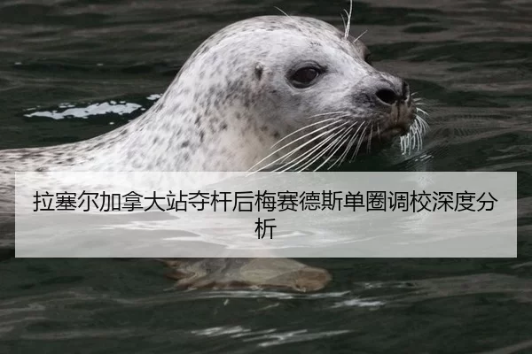 拉塞尔加拿大站夺杆后梅赛德斯单圈调校深度分析